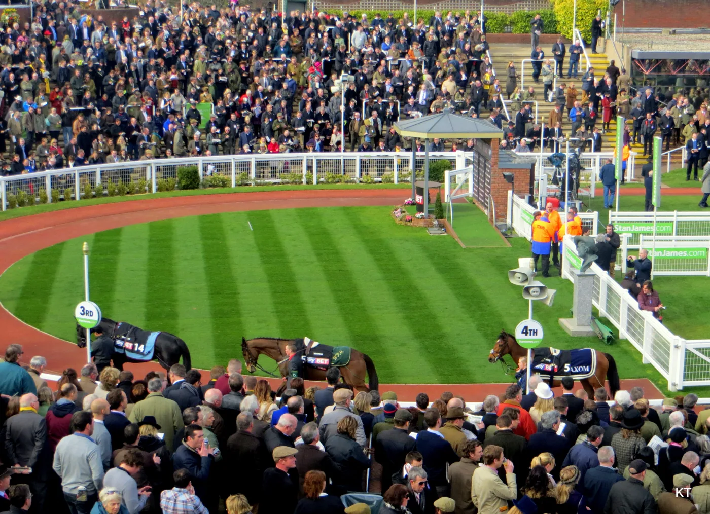 The parade ring at Cheltenham Racecourse on a race day
